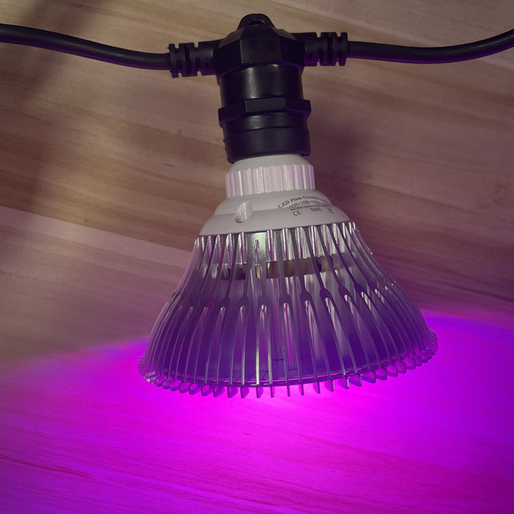 Guirlande lumineuse LED de 10M - Outdoor Lighting And Landscape avis et prix