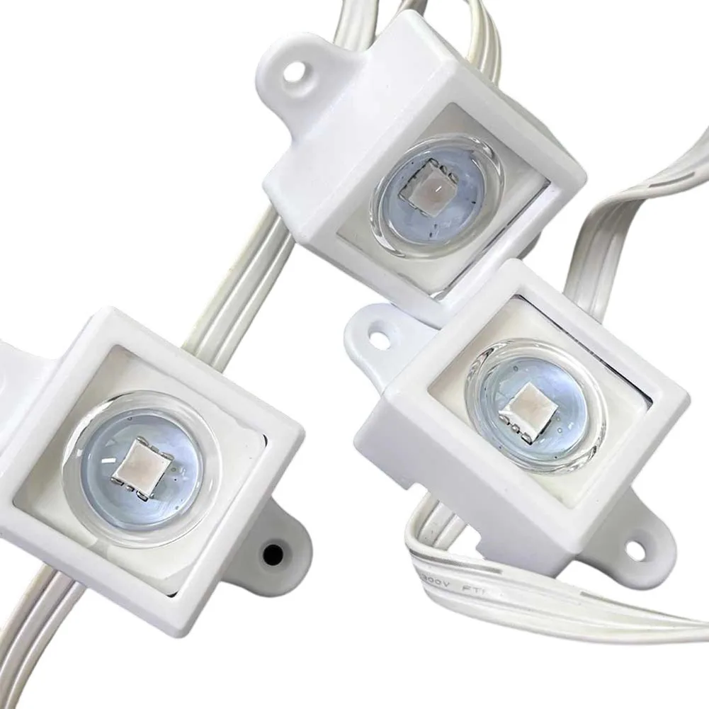 Clips lumineux de Festival pou - Outdoor Lighting Govee avis et prix