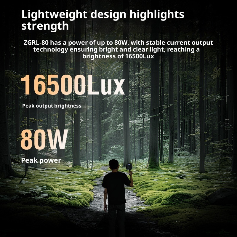 ZGRL80 80W COB LED lumière vid - Outdoor Lighting In Photography avis et prix